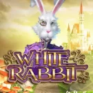 White Rabbit Slot: 75 FS в бонусній грі