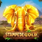 Stampede Gold Slot: особливості та виграшні символи — огляд бонусних опцій