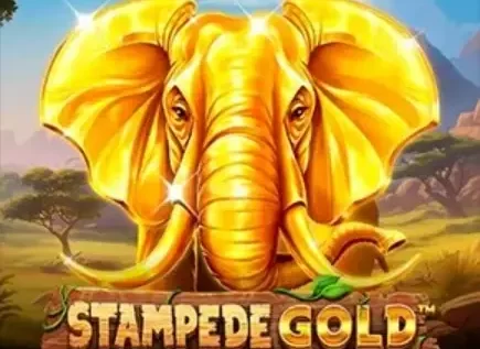 Stampede Gold Slot: особливості та виграшні символи — огляд бонусних опцій