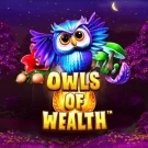 Owls of Wealth: особливості та виграшні символи — огляд бонусних опцій