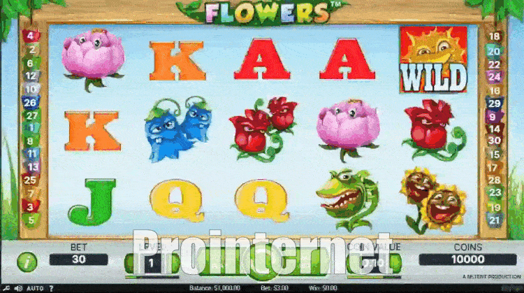 Як грати в Flowers