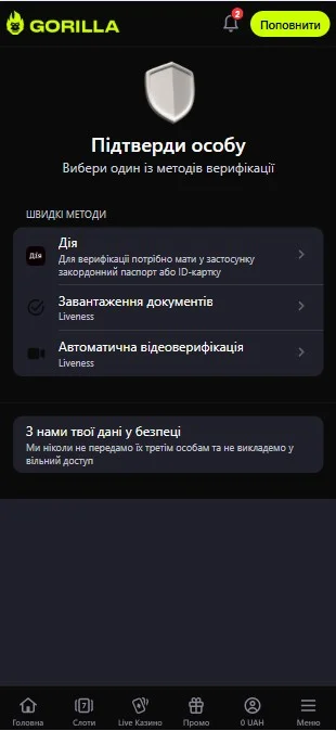 Верифікація даних